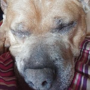 Meet your Posher, Mateo